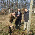 Princ Filip orezao lozu na Oplencu na Svetog Trifuna: Čuvamo tradiciju i blagosiljamo rodnu godinu