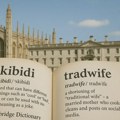 Žargonski izrazi „skibidi” i „tradwife” među 6.000 novih reči u Kembridžovom rečniku