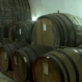 Šljivovica predmet naučnog istraživanja Filozofskog fakulteta