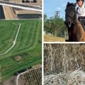 (Video) Od deponije do deteline za konje i školu jahanja Opština Ruma uspešno zatvorila ekološki projekat