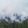 Jak vetar i gust dim otežavaju gašenje požara na Stolovima, u Deliblatskoj peščari stabilnije