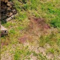 Ovde je nađen mrtav muškrac u Majdanpeku: Komšije uznemirene, kažu da su im čudne ove 2 stvari! (foto)