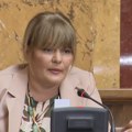 Danijela Nestorović: Sednica parlamenta pokazala da vlast ne trpi istinu