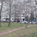 Opsadno stanje na Novom Beogradu: Policajci i forenzičari na svakom koraku: Muškarac se razneo bombom i to u dečijem parku…