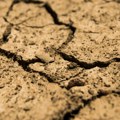Više od 1.000 krava i konja na Suvoj planini ponovo bez vode