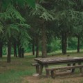 Provodimo duplo manje vremena u prirodi nego pre 200 godina Naučnici zabrinuti: Nedostatak se ogleda i u književnosti, a evo…