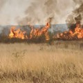 Drama kod Ćuprije: Izbio veliki požar, vatra se približila vikendicama