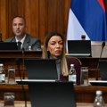 Ministarka Mesarović: Na hrvatskoj granici doživela sam strašan tretman