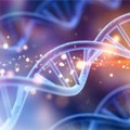 Istraživanje otkrilo šta više utiče na dužinu životnog veka – geni ili način života