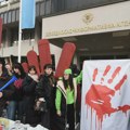 Novosadski univerzitetski profesori i istraživači uz studente: 4.000 nastavnika, 4.000 koraka