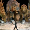 Da nije bilo asteroida, dinosaurusi bi možda i danas hodali Zemljom, pokazuje istraživanje