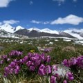 Skup podataka o kultivisanim pašnjacima jača ekološku zaštitu na Tibetu