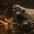 Hitno upozorenje za šetače i vlasnike pasa! Opasna životinja puštena u reku, ima tako jak ugriz kao da vas neko vratima kola…