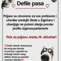 Humanitarni defile pasa u Zaječaru u petak: Učenički parlament Gimnazije poziva učenike i radnike srednjih škola