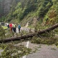 Pukom srećom izbegnuta tragedija: Uspostavljen saobraćaj na magistralnom putu kod Nove Varoši nakon pada ogromnog stabla