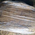 U Bačkoj Palanci zaplenjeno više od 250 kilograma rezanog duvana
