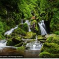 LEPOTE SRBIJE Magični i skriveni vodopadi na Staroj planini ostavljaju bez daha (foto priča)