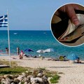 Plaćen parking i Ležaljka nisu dovoljni: Srbina razbesnele cene i uslovi na popularnoj plaži u Grčkoj