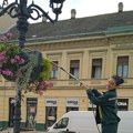 Na Trgu slobode postavljene cvetne žardinjere, cvećem ukrašeni stubovi ulične rasvete