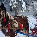 Magdalena ima najlepše detinjstvo! Tata je tokom zime u školu ne vozi automobilom, već konjem i sankama!