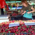 Jagode iz bača, rakovca, bačke palanke... Slađe od uvoznih rod za trećinu manji
