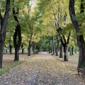 Danas zvanično počinje jesen, ali je zato temperatura iznenađujuća za ovo doba godine