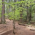 Otimačina Tare: Ljudi na ulicama, bes raste (foto, video)