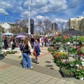 Prva ovogodišnja Cvetna pijaca u petak i subotu na platou Spensa