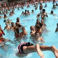 Počinje noćno kupanje na bazenu "Olimp", sve detaljno o cenama i terminima