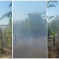 (Video) Požar buknuo u Stublinama! Vatra stigla nadomak kuća kod Obrenovca. Vatrogasci se bore sa vatrenom stihijom.