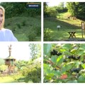 Susret sa prirodom u eko parku kod Beograda: Nekad deponija, a sada životinje, jezero i voćnjaci u podnožju Avale