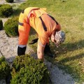 Uređenje blokovskog zelenila i cvetnih površina