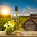 Vinski maraton od 2.817 kilometara kroz balkanske vinograde
