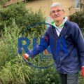 Sve više ljudi alergičnih na ovu biljku, a ona buja kao nikada pre usled klimatskih promena: Ambrozija ljudima donosi velike…