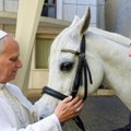 Papa Lav XIV dobio na poklon belog čistokrvnog arapskog konja