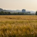 NE Krško najavljuje da bi zbog ekoloških ograničenja vezanih uz Savu mogla postupno zaustaviti rad