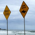 Zapadna Australija odobrila odstrel ajkule koja je ubila plivača