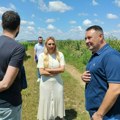 Šidski atar među najpogođenijim u Vojvodini - naneta šteta na 20 hiljada hektara