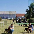 Međunarodna izložba pasa održana u Leskovcu, Cvetanović se pohvalio koje on pse ima