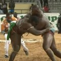 Dva diva - jedan protiv drugog! Ljudi u Senegalu ovaj sport obožavaju - takmičari imaju preko 150 kilograma, sve puca od…