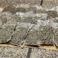 Policija u Prokuplju zaplenila oko 9,5 kilograma marihuane, uhapšen mladić iz Podujeva