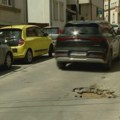 Nova veština - kako izbeći rupe u Kragujevcu: Ima li efekta akcija saniranja koju je pokrenulo JKP Šumadija