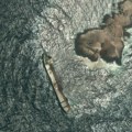 Ogromna naftna mrlja kod Omana: Posle eksplozije tankera zagađeno 390 kvadratnih kilometara mora