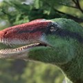 VIDEO: Zaboravljeni fosil otkrio novu vrstu dinosaurusa sa ogromnim kandžama