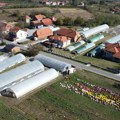Raspisan konkurs za dodelu bespovratnih sredstava za razvoj plasteničke proizvodnje na teritoriji opštine Prijepolje