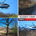 Ovu šumu su helikopteri nadletali u potrazi za malom Dankom: Uske staze i puno lišća