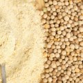 Hrana i zdravlje: Da li je bolje da jedemo brašno od semenki mahunastog povrća