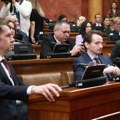 Pastor (SVM): Plenumi potkopavaju predstavničku demokratiju