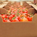 Rast agrarnog izvoza nastavljen i u 2025: Srbija zadržava suficit u trgovini hranom