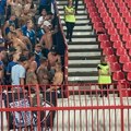 Navijač Zvezde iznervirao huligane Leha: Stvorila se ozbiljna tenzija na poluvremenu zbog provokacije
